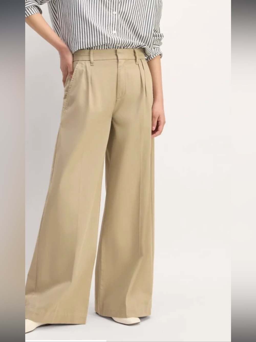 Everlane Women's Tan Chinos